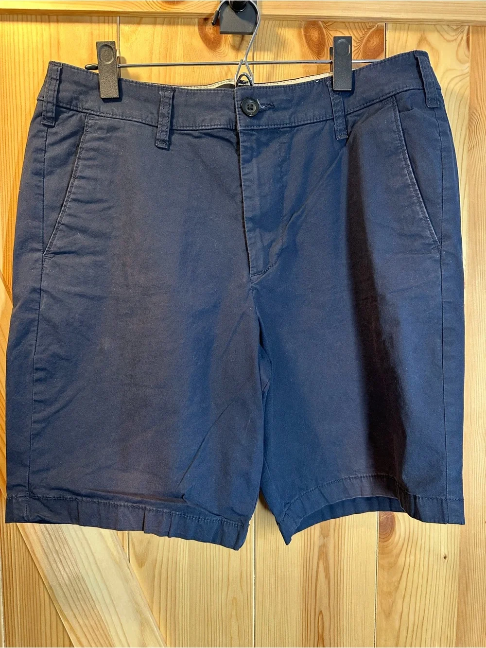 Hollister Men's Size 32 Short Bundle (3 pairs)